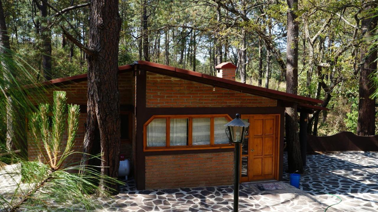 Hotel Rincon Del Bosque à Mazamitla Extérieur photo
